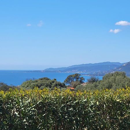 T3 Propriano Vue Mer, Neuf, Climatise Et Classe 4 Etoiles Viggianello Dış mekan fotoğraf