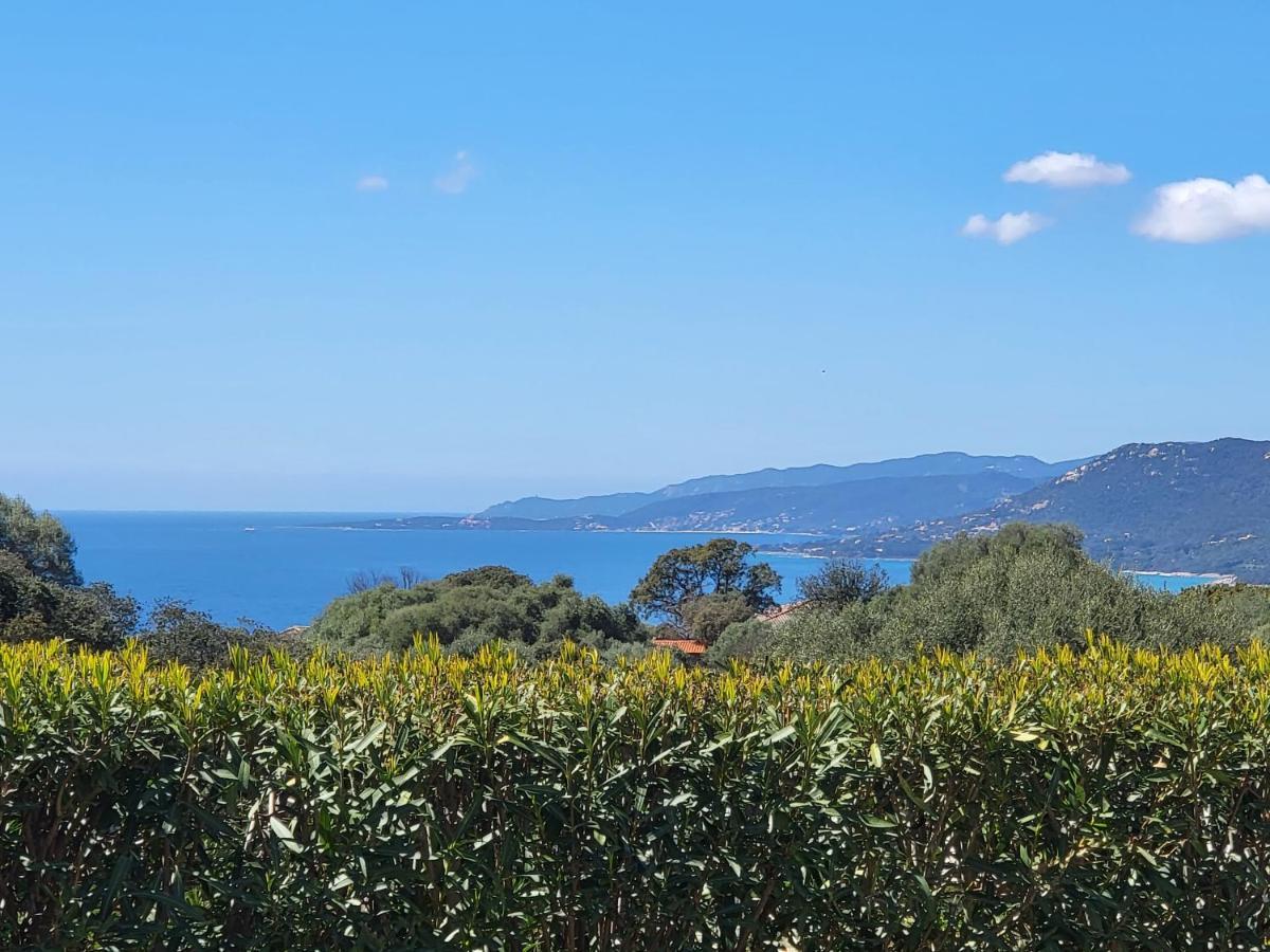 T3 Propriano Vue Mer, Neuf, Climatise Et Classe 4 Etoiles Viggianello Dış mekan fotoğraf