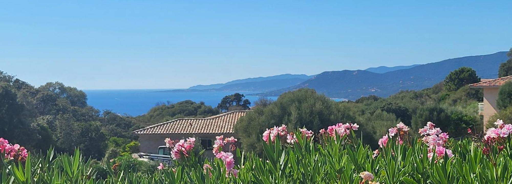 T3 Propriano Vue Mer, Neuf, Climatise Et Classe 4 Etoiles Viggianello Dış mekan fotoğraf